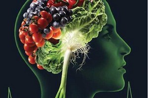 حذف مدارک مورد پذیرش ارشد ودکتری تغذیه