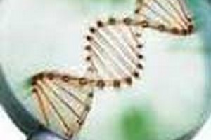 طرح درس کارشناسی ارشد نانوتکنولوژی پزشکی 