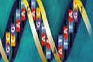 دروس امتحانی وضرایب درسی کارشناسی ارشد نانوتکنولوژی پزشکی