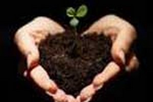 دروس وضرایب HSE دروس امتحانی وضرایب درسی مدیریت سلامت ، ایمنی ،ومحیط زیستHSE