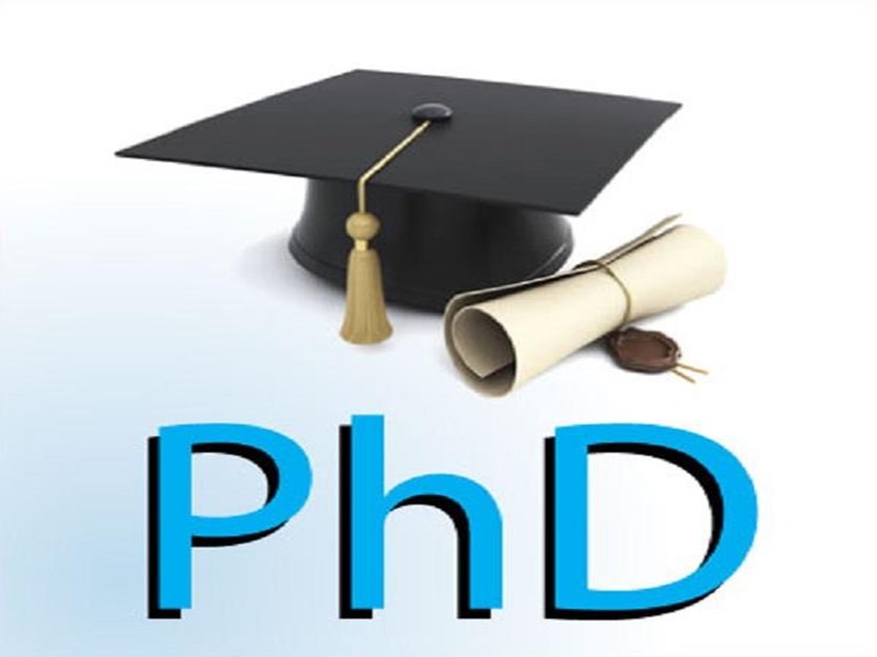 phd physical education